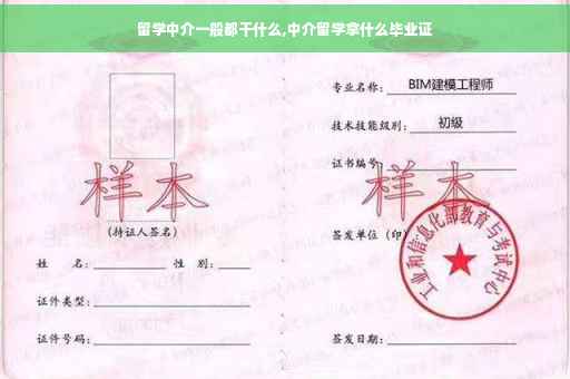 留学中介一般都干什么,中介留学拿什么毕业证