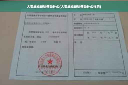 大专毕业证标签是什么(大专毕业证标签是什么样的)