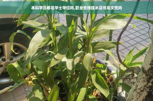 本科学历都是学士学位吗,职业资格技术证书是文凭吗