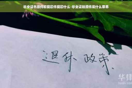毕业证书原件和复印件复印什么-毕业证验原件是什么意思