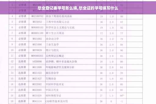 毕业登记表学号怎么填,毕业证的学号填写什么