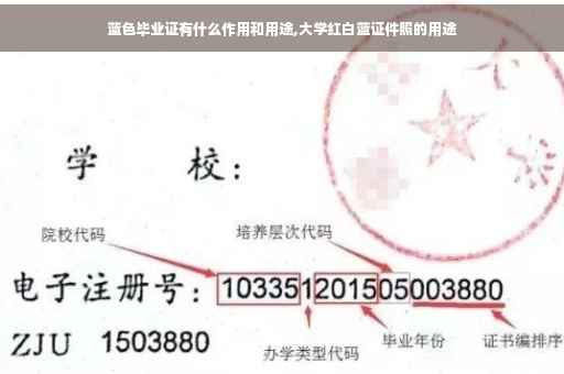 蓝色毕业证有什么作用和用途,大学红白蓝证件照的用途