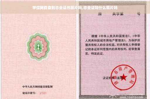 学信网能查到毕业证书图片吗,毕业证贴什么照片吗