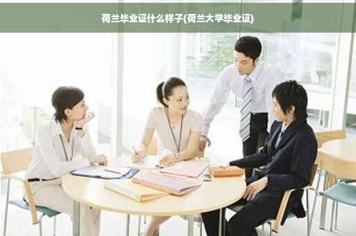 荷兰毕业证什么样子(荷兰大学毕业证)