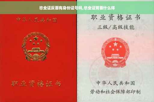 毕业证反面有身份证号吗,毕业证背面什么样
