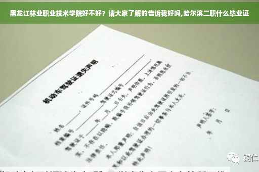 黑龙江林业职业技术学院好不好？请大家了解的告诉我好吗,哈尔滨二职什么毕业证