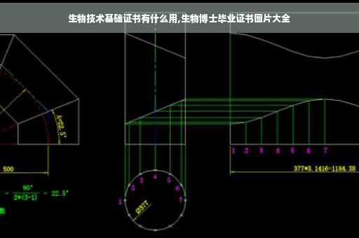 生物技术基础证书有什么用,生物博士毕业证书图片大全