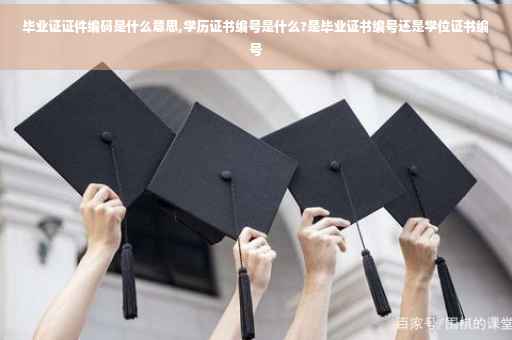 毕业证证件编码是什么意思,学历证书编号是什么?是毕业证书编号还是学位证书编号