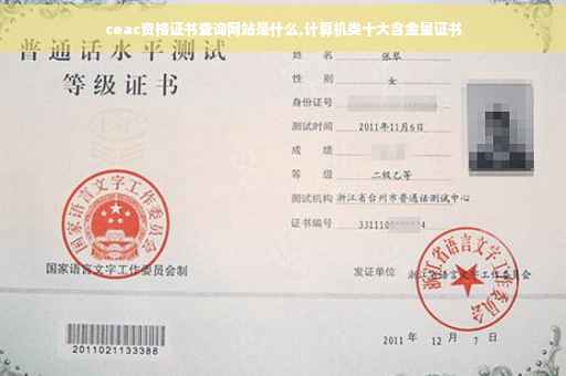 ceac资格证书查询网站是什么,计算机类十大含金量证书