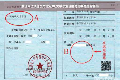发证单位填什么毕业证书,大学毕业证编号是教育局给的吗