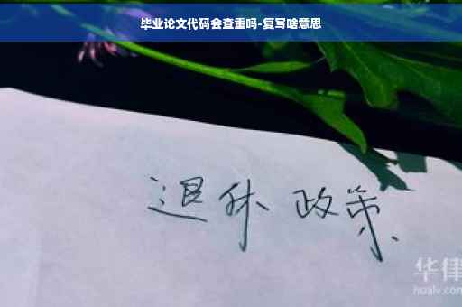 毕业论文代码会查重吗-复写啥意思
