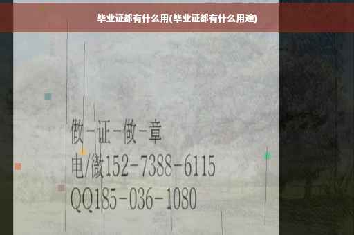 毕业证都有什么用(毕业证都有什么用途)