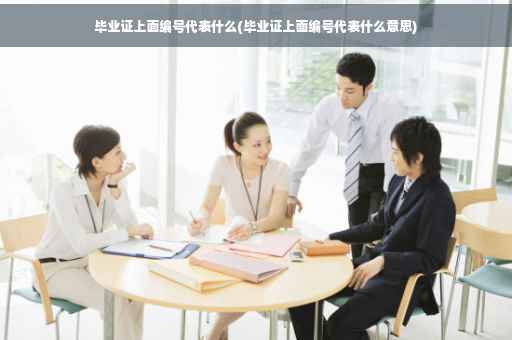 毕业证上面编号代表什么(毕业证上面编号代表什么意思)