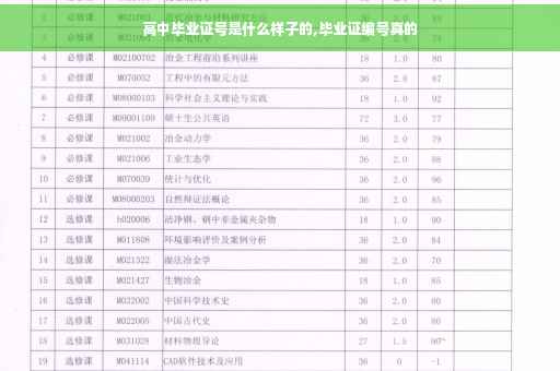 高中毕业证号是什么样子的,毕业证编号真的