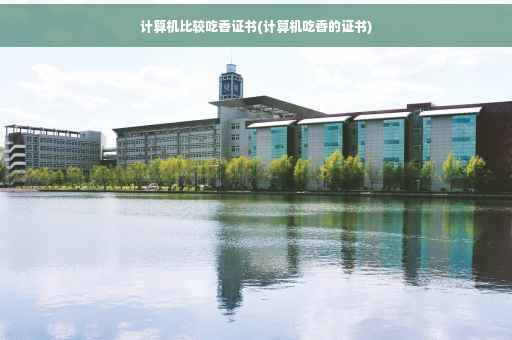 计算机比较吃香证书(计算机吃香的证书)