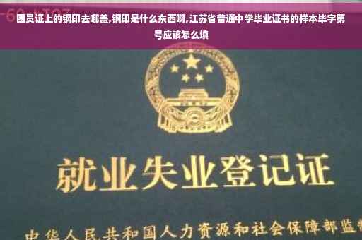 团员证上的钢印去哪盖,钢印是什么东西啊,江苏省普通中学毕业证书的样本毕字第号应该怎么填