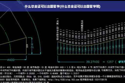 什么毕业证可以出国留学(什么毕业证可以出国留学呢)