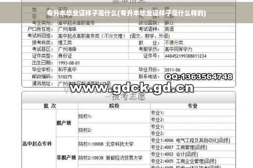 专升本毕业证样子是什么(专升本毕业证样子是什么样的)