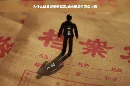 为什么毕业证要传真呢,毕业证原件怎么上传