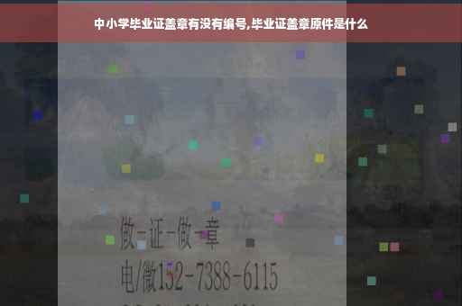 中小学毕业证盖章有没有编号,毕业证盖章原件是什么