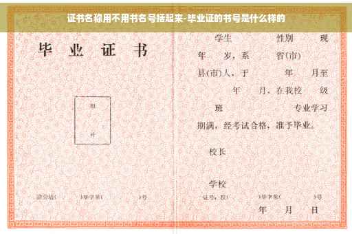 证书名称用不用书名号括起来-毕业证的书号是什么样的