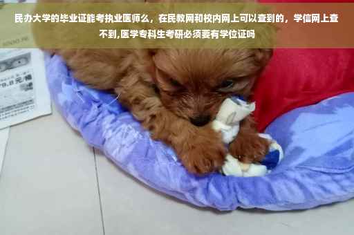 民办大学的毕业证能考执业医师么，在民教网和校内网上可以查到的，学信网上查不到,医学专科生考研必须要有学位证吗