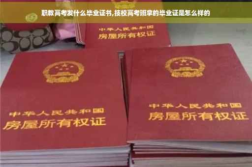 职教高考发什么毕业证书,技校高考班拿的毕业证是怎么样的