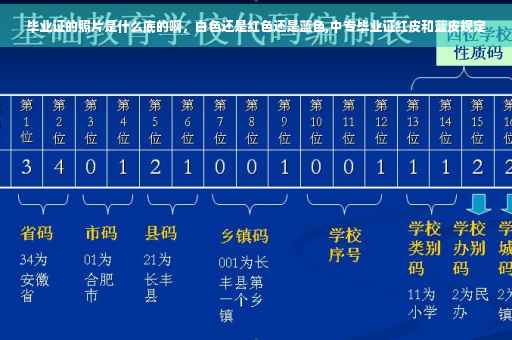 毕业证的照片是什么底的啊，白色还是红色还是蓝色,中专毕业证红皮和蓝皮规定