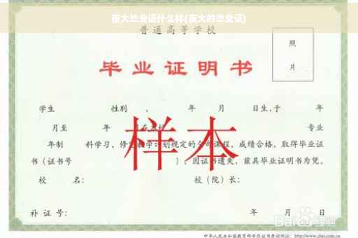 夜大毕业证什么样(夜大的毕业证)