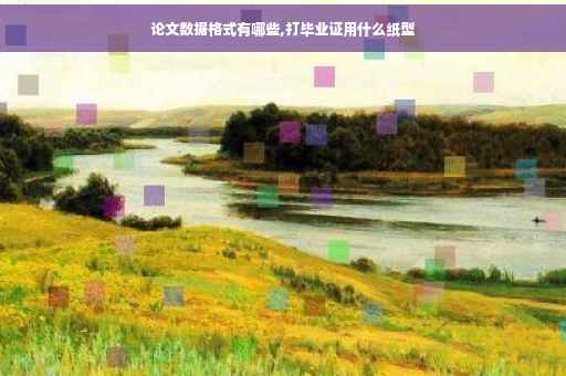 论文数据格式有哪些,打毕业证用什么纸型