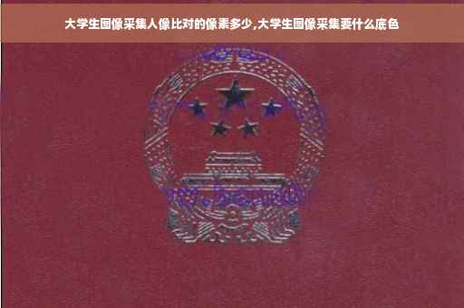 大学生图像采集人像比对的像素多少,大学生图像采集要什么底色