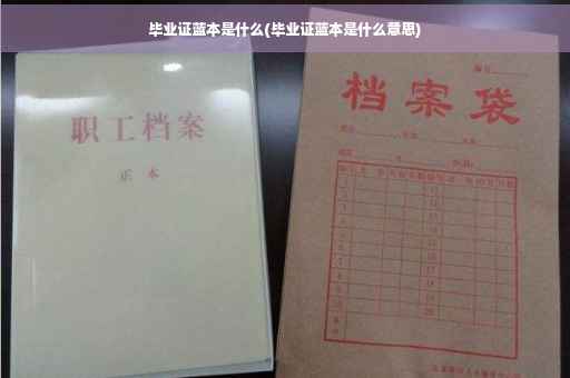 毕业证蓝本是什么(毕业证蓝本是什么意思)