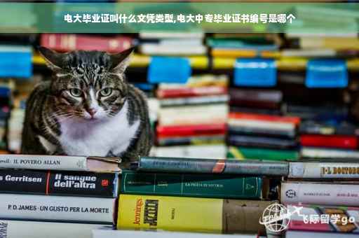 电大毕业证叫什么文凭类型,电大中专毕业证书编号是哪个