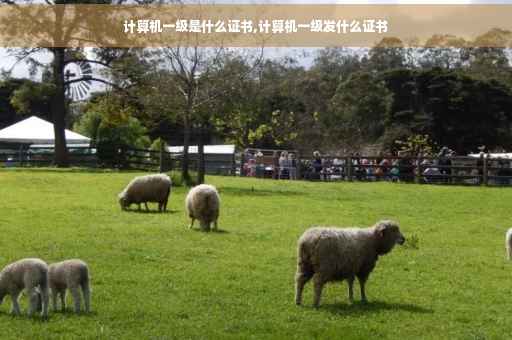 计算机一级是什么证书,计算机一级发什么证书