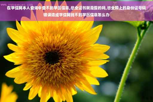 在学信网本人查询中查不到学历信息,毕业证书就是假的吗,毕业照上的身份证号码错误造成学信网找不到学历信息怎么办