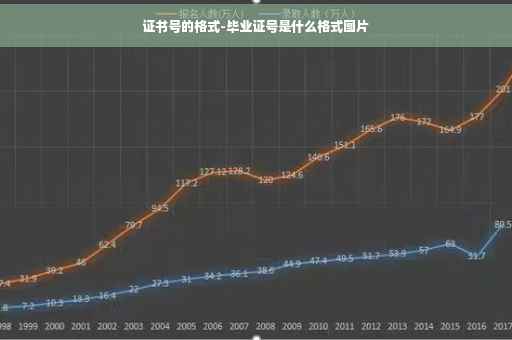 证书号的格式-毕业证号是什么格式图片