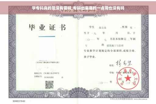 学专科真的是没有用吗,专科出来真的一点用也没有吗