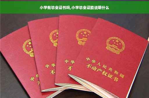 小学有毕业证书吗,小学毕业证能说明什么