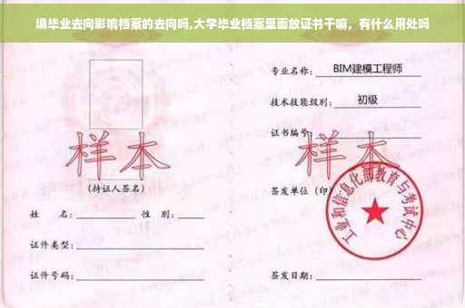 填毕业去向影响档案的去向吗,大学毕业档案里面放证书干嘛，有什么用处吗