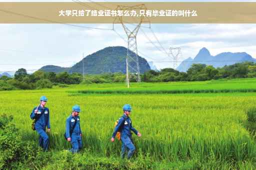 大学只给了结业证书怎么办,只有毕业证的叫什么