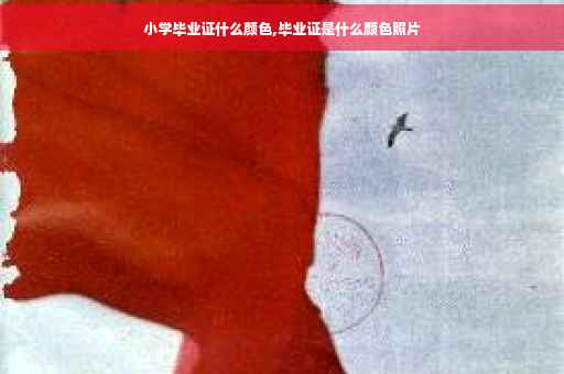 小学毕业证什么颜色,毕业证是什么颜色照片