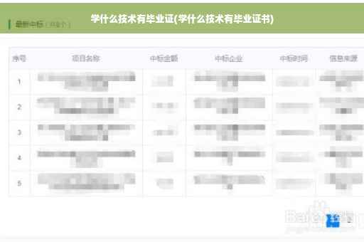 学什么技术有毕业证(学什么技术有毕业证书)