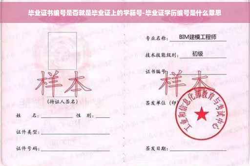 毕业证书编号是否就是毕业证上的学籍号-毕业证学历编号是什么意思