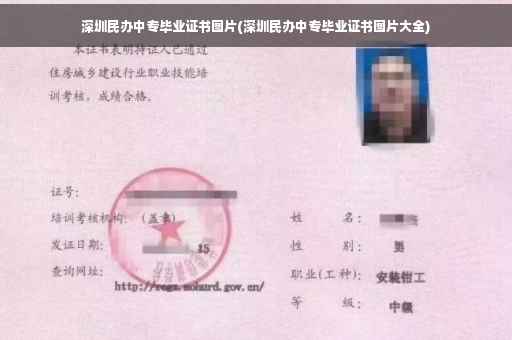 深圳民办中专毕业证书图片(深圳民办中专毕业证书图片大全)