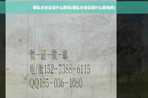 部队毕业证是什么颜色(部队毕业证是什么颜色的)