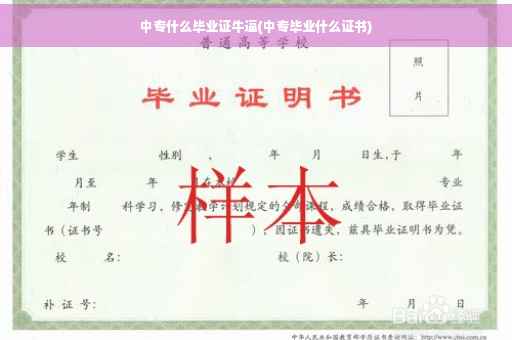 中专什么毕业证牛逼(中专毕业什么证书)