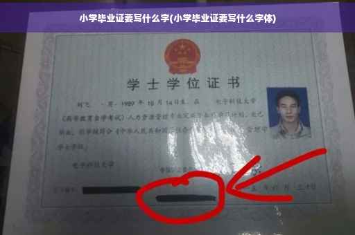 小学毕业证要写什么字(小学毕业证要写什么字体)