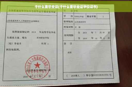 干什么要毕业证(干什么要毕业证学位证书)