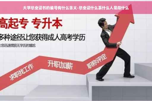 大学毕业证书的编号有什么含义-毕业证什么系什么人是指什么
