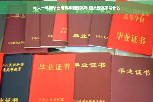电大一年制毕业后有学籍档案吗,团员档案袋是什么
